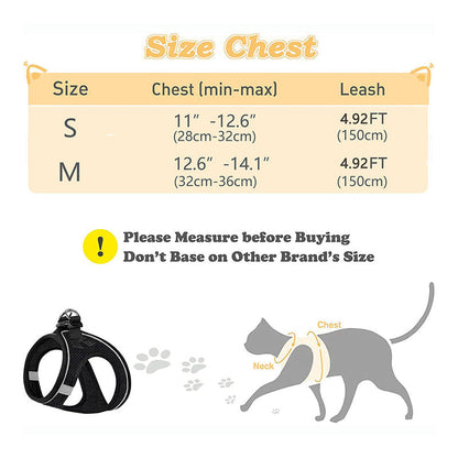 LumaTail Harness — Featherlight Freedom Secure