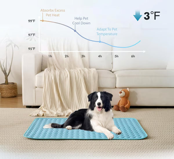 ChillPaw Mat — Cool Comfort Everywhere