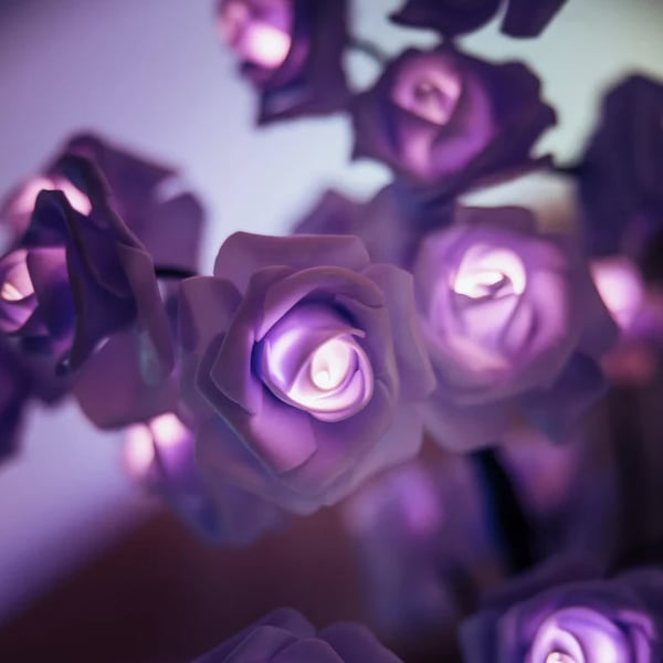 LumaRose — Eternal Glow, Lasting Love