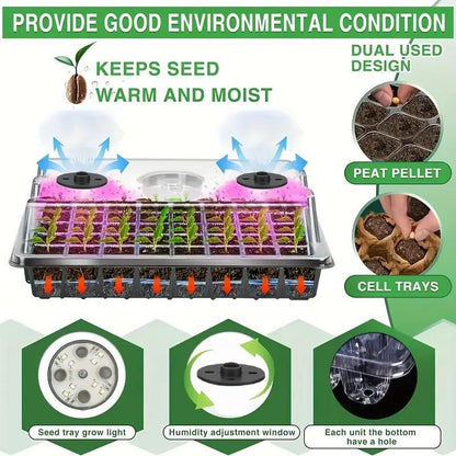 Seedling Success — Grow Faster, Grow Stronger