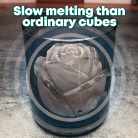RoseChill — Romantic Ice Mold | 1+1 FREE