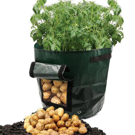 GrowMate — Bountiful Harvest, Effortless Joy