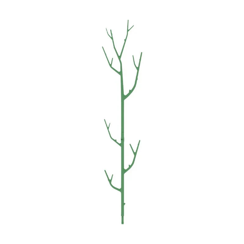 Vervanta Stakes — Natural Support, Stunning Growth