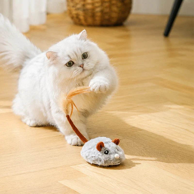 Electric Cat Mouse — Unleash Playful Predator Instincts