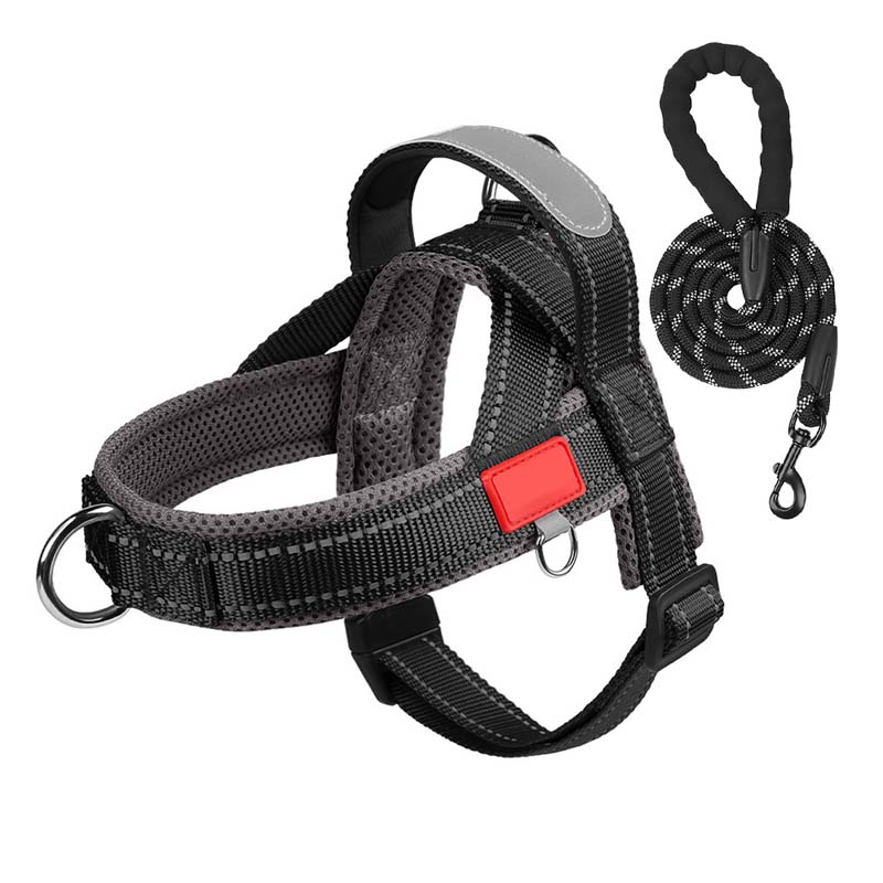 Total Comfort Harness — Stress-Free, Safe Walks
