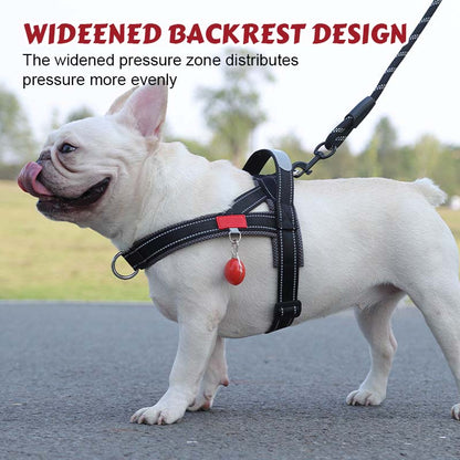Total Comfort Harness — Stress-Free, Safe Walks