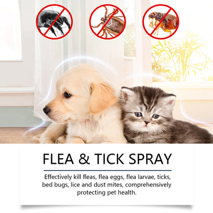 FurShield — Quiet Comfort, Fur-Free Pets