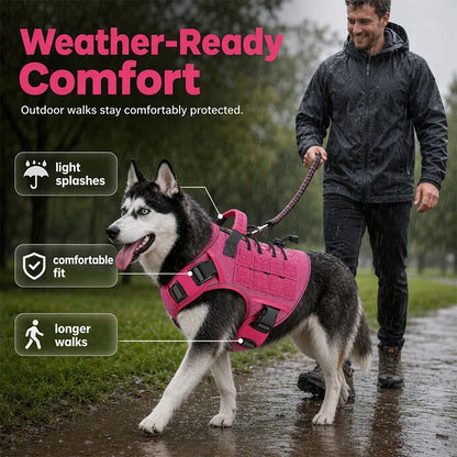 Active Dog Harness — Unstoppable Comfort Control