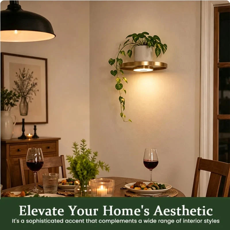 Glowing Gold Shelf — Warm Ambience, Instant Luxury