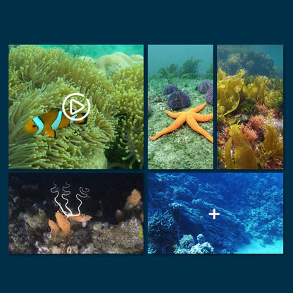 AquaSight Pro – Dive-Free Underwater Wonder