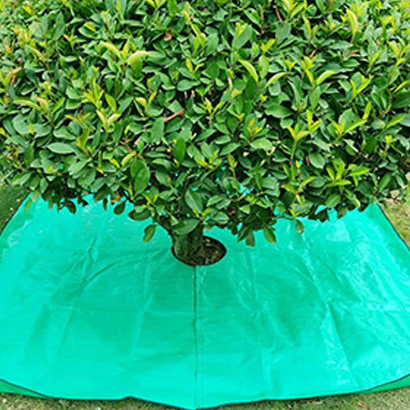 PruneGuard — Garden Cleanup Tarp | 50% OFF