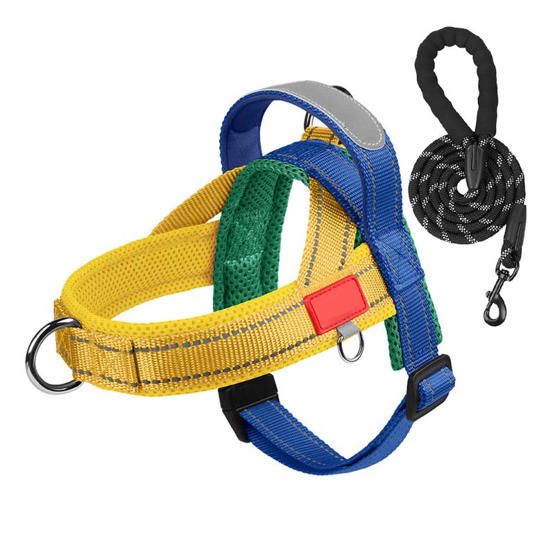 Total Comfort Harness — Stress-Free, Safe Walks
