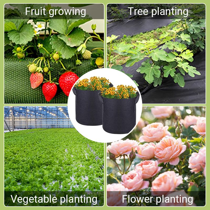 GeoRoot Planting Bags — Healthy Roots, Maximum Growth