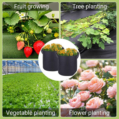 GeoRoot Planting Bags — Healthy Roots, Maximum Growth