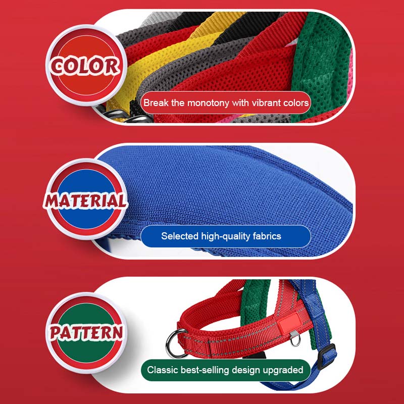 Total Comfort Harness — Stress-Free, Safe Walks
