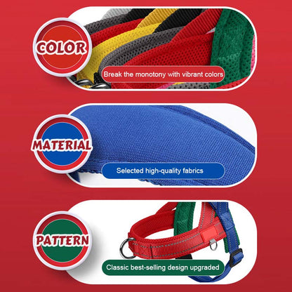 Total Comfort Harness — Stress-Free, Safe Walks