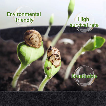 GeoRoot Planting Bags — Healthy Roots, Maximum Growth