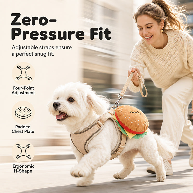 Hamburger + Harness + Leash — Comfort That Turns Heads