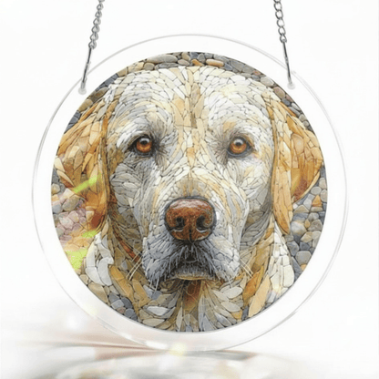 RadianceFlow — Magic Sun Catcher | 1+1 FREE