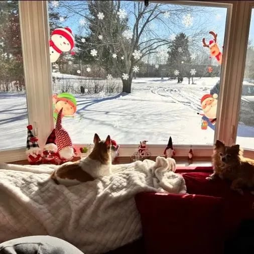 LumiFest Window Stickers — Spark Pure Holiday Joy