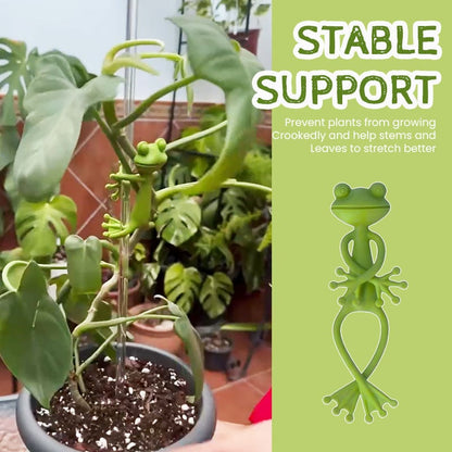 FrogglePods – Helping Plants Thrive