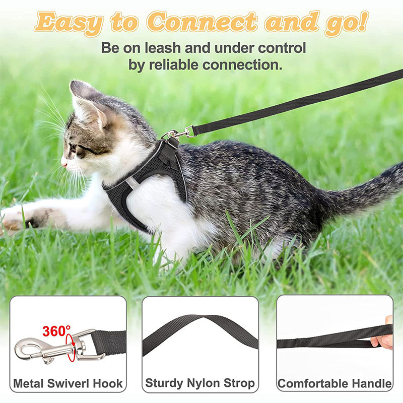 LumaTail Harness — Featherlight Freedom Secure