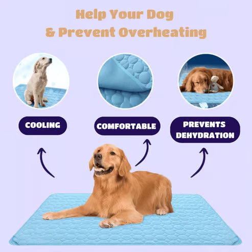 ChillPaw Mat — Cool Comfort Everywhere