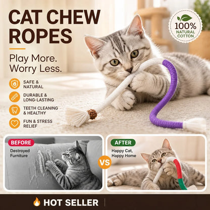 WhiskerWeave — Soothe, Play, Smile
