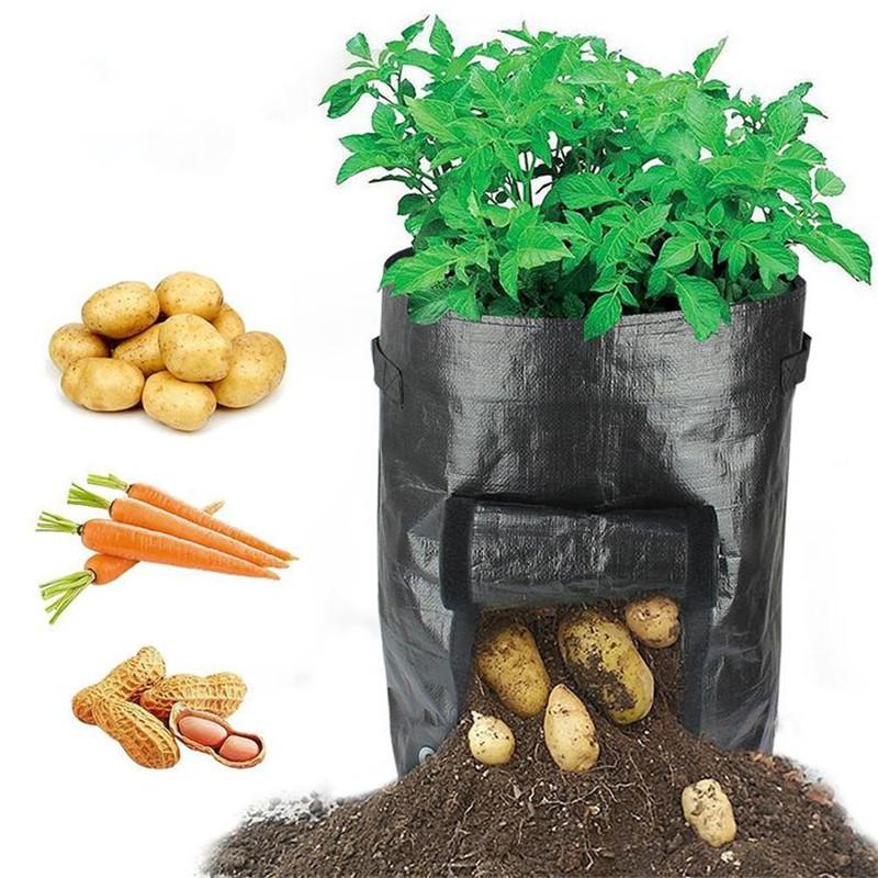 GrowMate — Bountiful Harvest, Effortless Joy