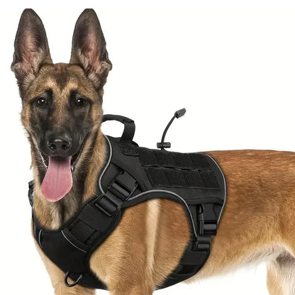 Active Dog Harness — Unstoppable Comfort Control