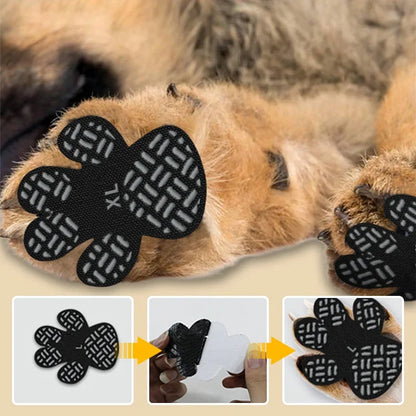 PawTread — כפות בטוחות בכל מקום