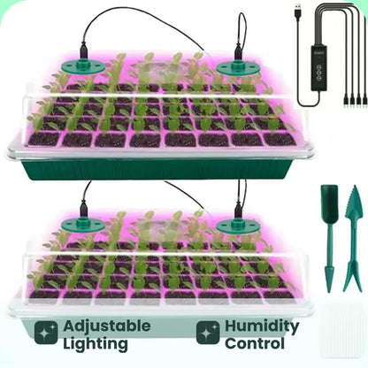 Seedling Success — Grow Faster, Grow Stronger