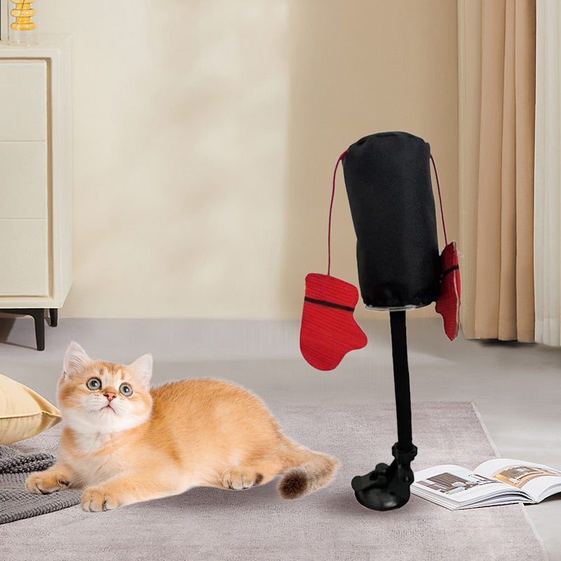 CatFury – Unleash Wild Playfulness