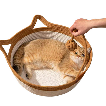 PurrNest – The Ultimate Cozy Playmate