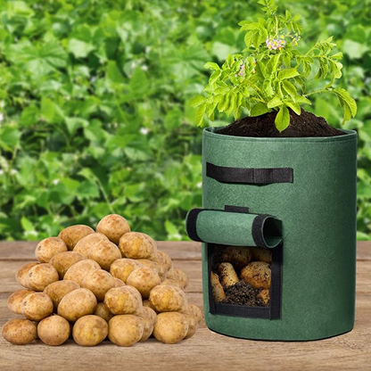 RootHarvest Planting Bags — Effortless Potato Success