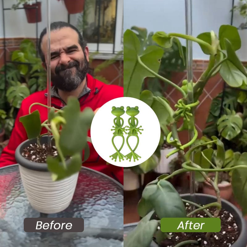 FrogglePods – Helping Plants Thrive