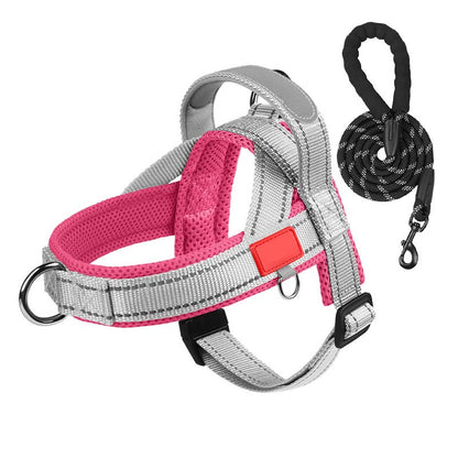 Total Comfort Harness — Stress-Free, Safe Walks