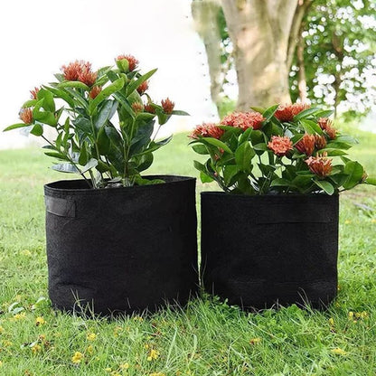 GeoRoot Planting Bags — Healthy Roots, Maximum Growth
