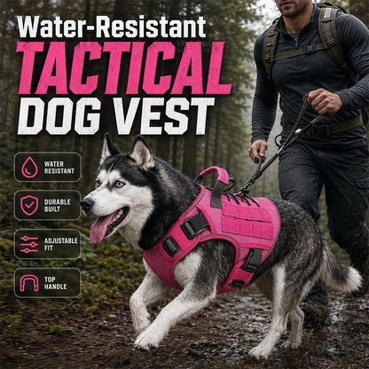 Active Dog Harness — Unstoppable Comfort Control