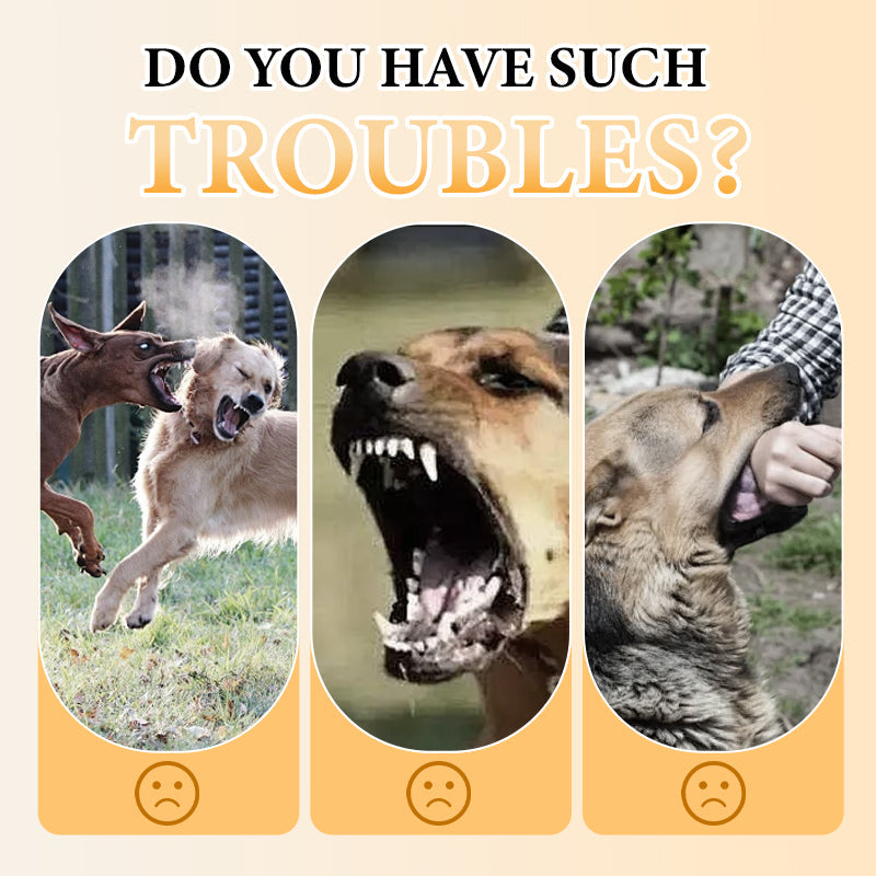 SafeWalk — Safe Dog Harness | 50% OFF