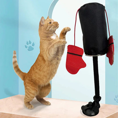 CatFury – Unleash Wild Playfulness