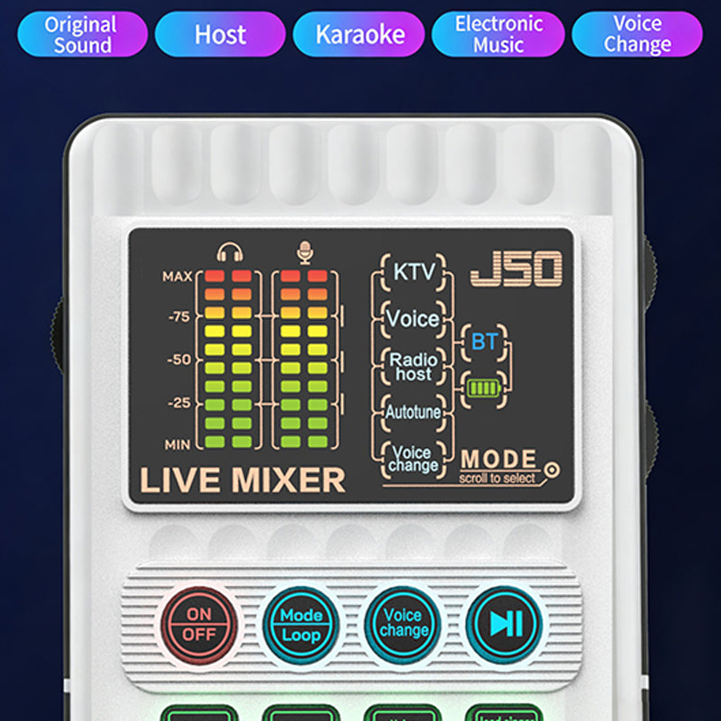 VoiceMaster Pro – Clear, Confident Voice Output