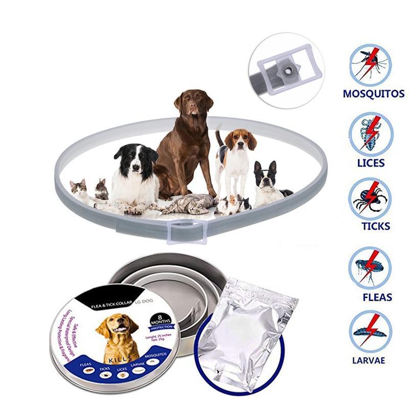 Frenchie Flea and Tick Collar — Effortless, Long-lasting Protection