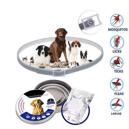 Frenchie Flea and Tick Collar — Effortless, Long-lasting Protection