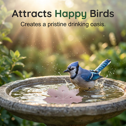 AquaLeaf — Birdbath Water Cleaner | 1+1 FREE