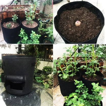 RootHarvest Planting Bags — Effortless Potato Success