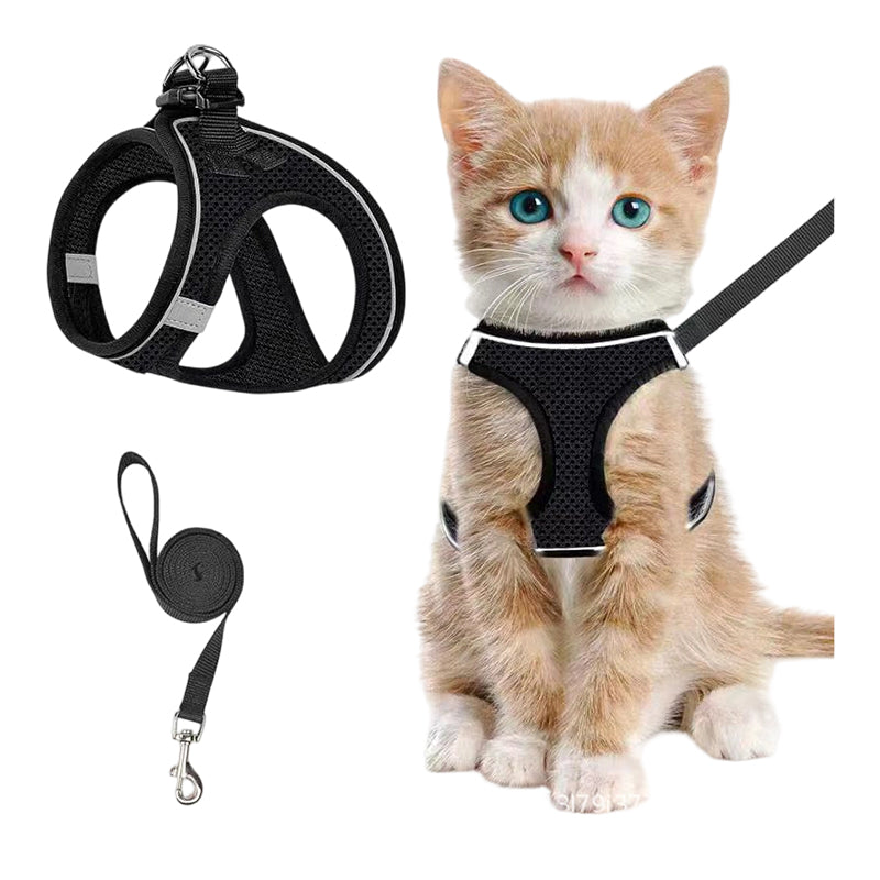 LumaTail Harness — Featherlight Freedom Secure