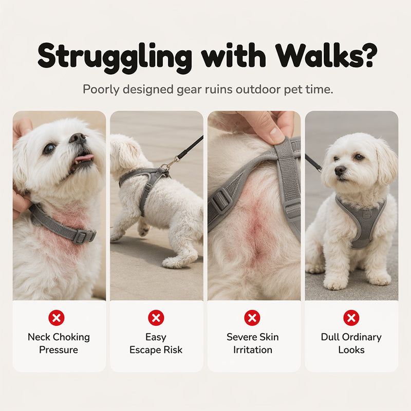 Hamburger + Harness + Leash — Comfort That Turns Heads