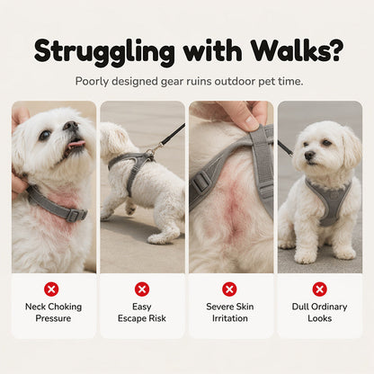 Hamburger + Harness + Leash — Comfort That Turns Heads