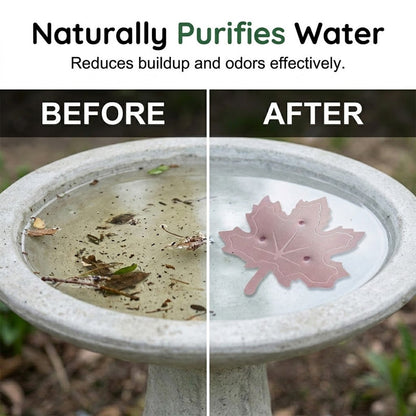 AquaLeaf — Birdbath Water Cleaner | 1+1 FREE